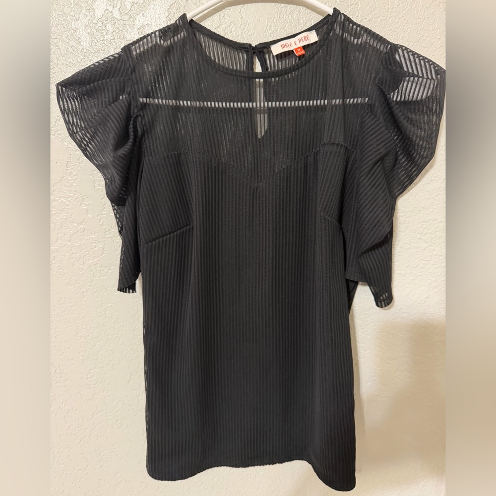 Black Sheer Stripe Blouse- Women